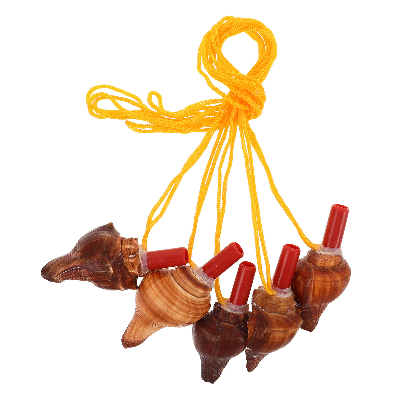 5Pcs Conch Whistle Natural Sea - مراجعة Outdoor Adventure Kids Party وسعره
